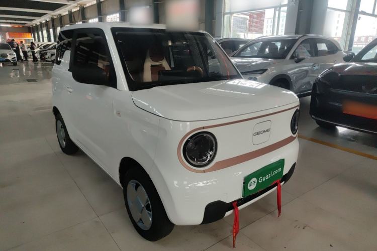Used  Panda 2024 Panda Mini 200km Endurance Bear

