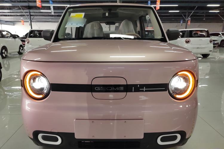 Used  Panda 2025 210 km – Yuanqi Bear
