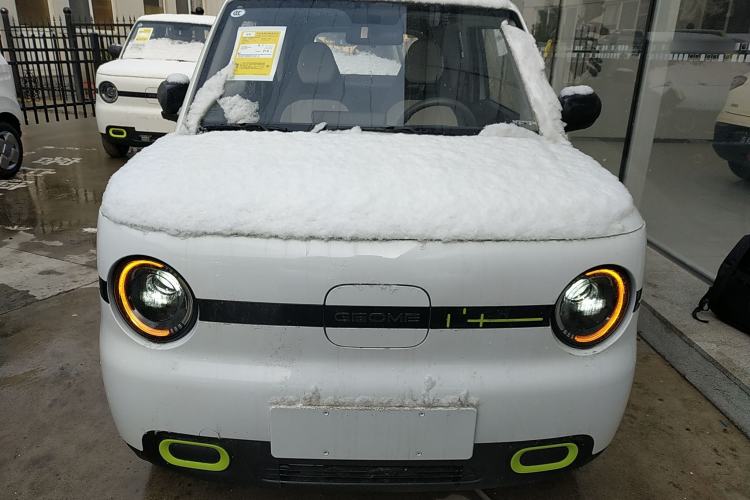 Used  Panda 2025 210 km – Yuanqi Bear
