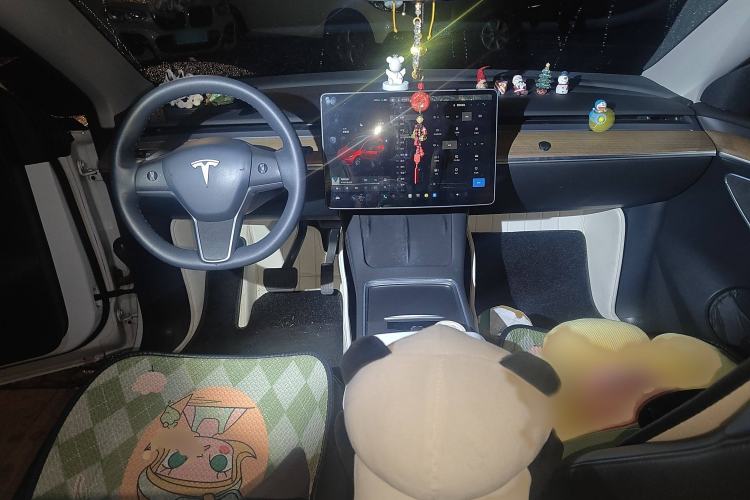 Used Tesla Model Y 2021 Standard Range Rear-Wheel Drive Version
