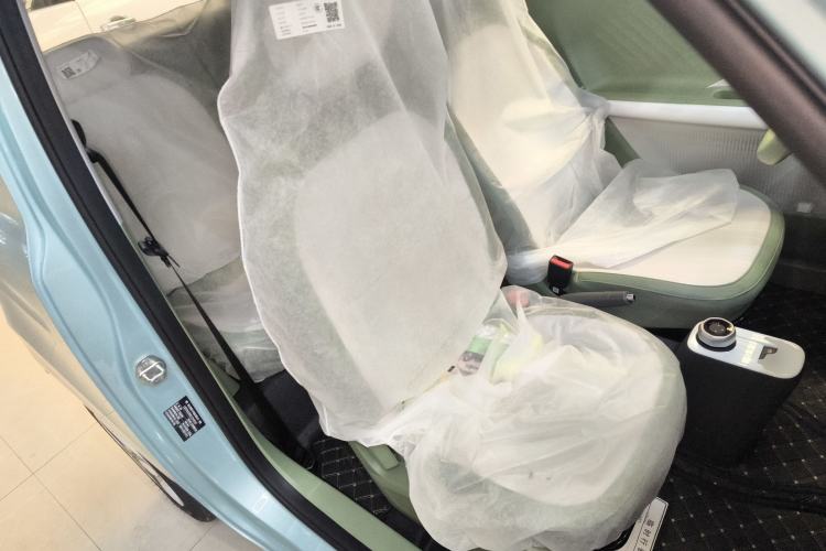 Used  Panda 2025 210 km – Yuanqi Bear
