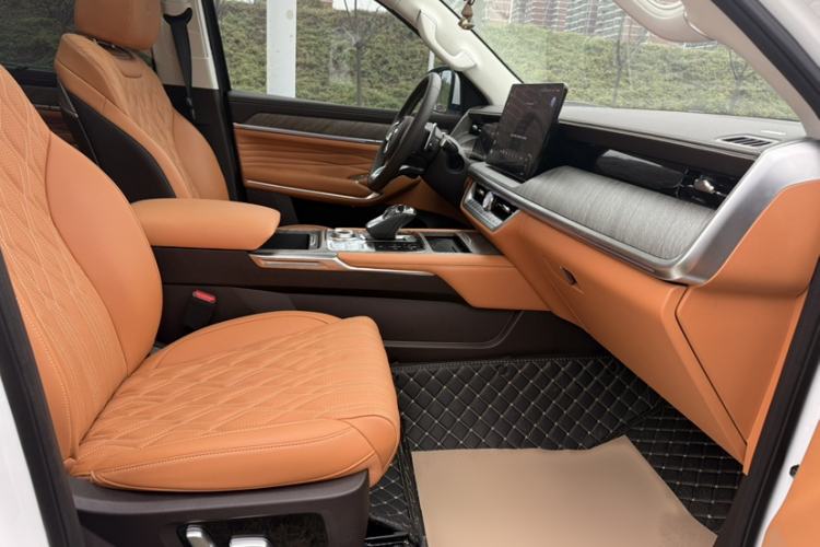 Used Tank 500 New Energy 2024 Hi4-T
