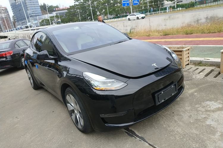 Used Tesla Model Y 2021 Standard Range Rear-Wheel Drive Version
