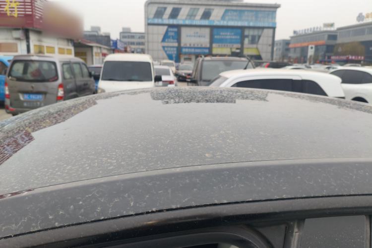 Used Tesla Model Y 2023 Rear-Wheel-Drive Version