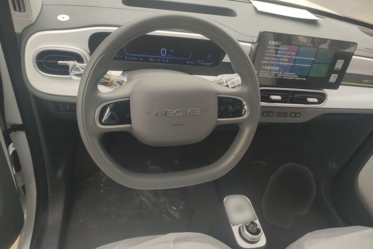 Used  Panda 2025 210 km – Yuanqi Bear
