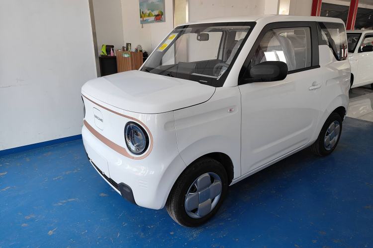 Used  Panda 2024 Panda Mini 200km Endurance Bear
