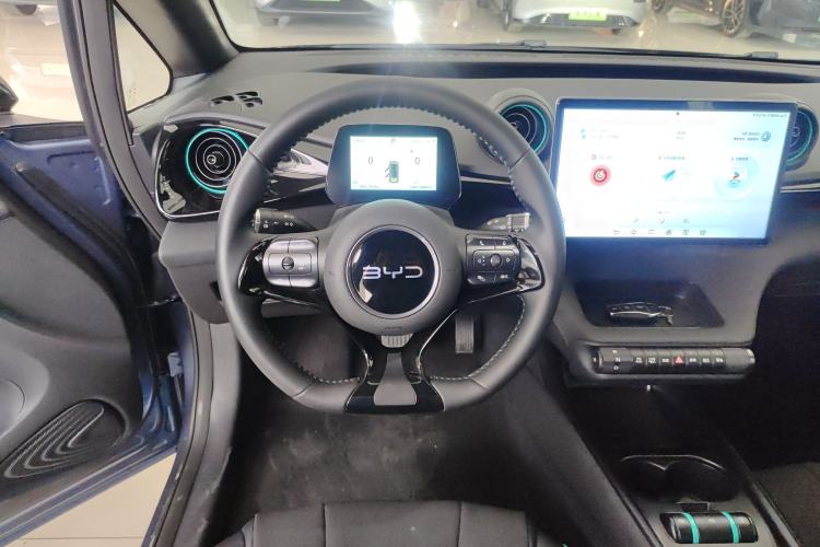 Used BYD Dolphin 2025 520km Range Knight Edition
