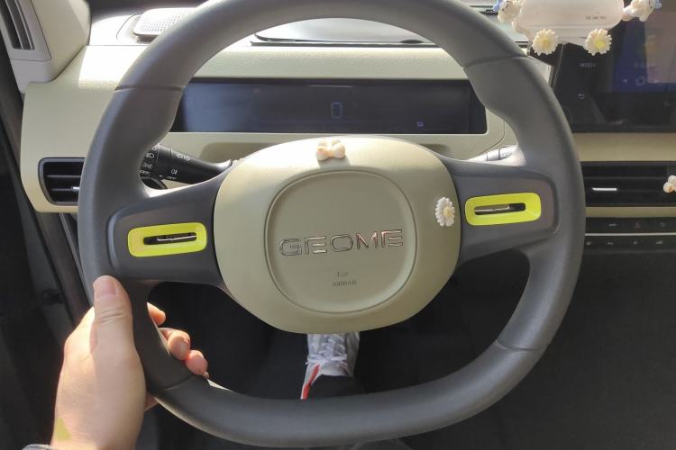 Used  Panda 2024 200km Panda Rider