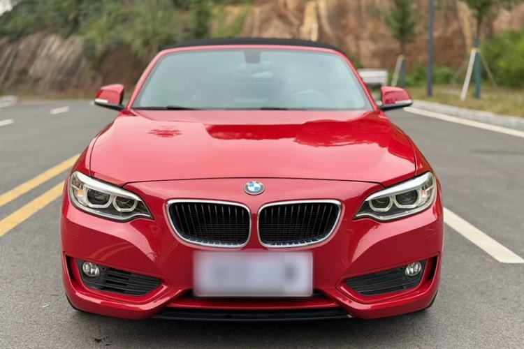 Used BMW 2 Series 2015 218i Convertible Coupe