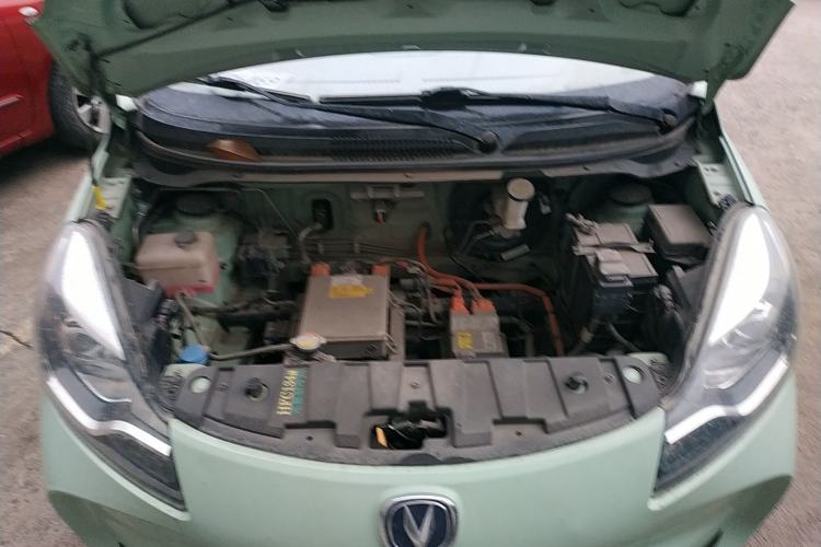 Used Oshan Benni E-Star 2021 National Edition Xin Yue Version Lithium Iron Phosphate (31.18 kWh)
