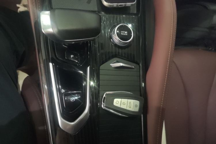 Used Geely Auto Monjaro L 2024 2.0TD High-Power Automatic Two-Wheel Drive Skyline Edition
