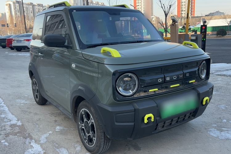 Used  Panda 2024 200km Panda Rider