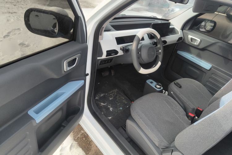 Used  Panda 2024 Panda Mini 200km Endurance Bear