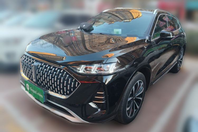 Used Wey Mocha 2021 2.0T Two-Wheel-Drive Premium Edition