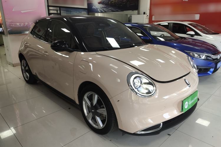 Used ORA Good Cat 2022 Morandi Edition 400km Standard Range Luxury Version Lithium Iron Phosphate