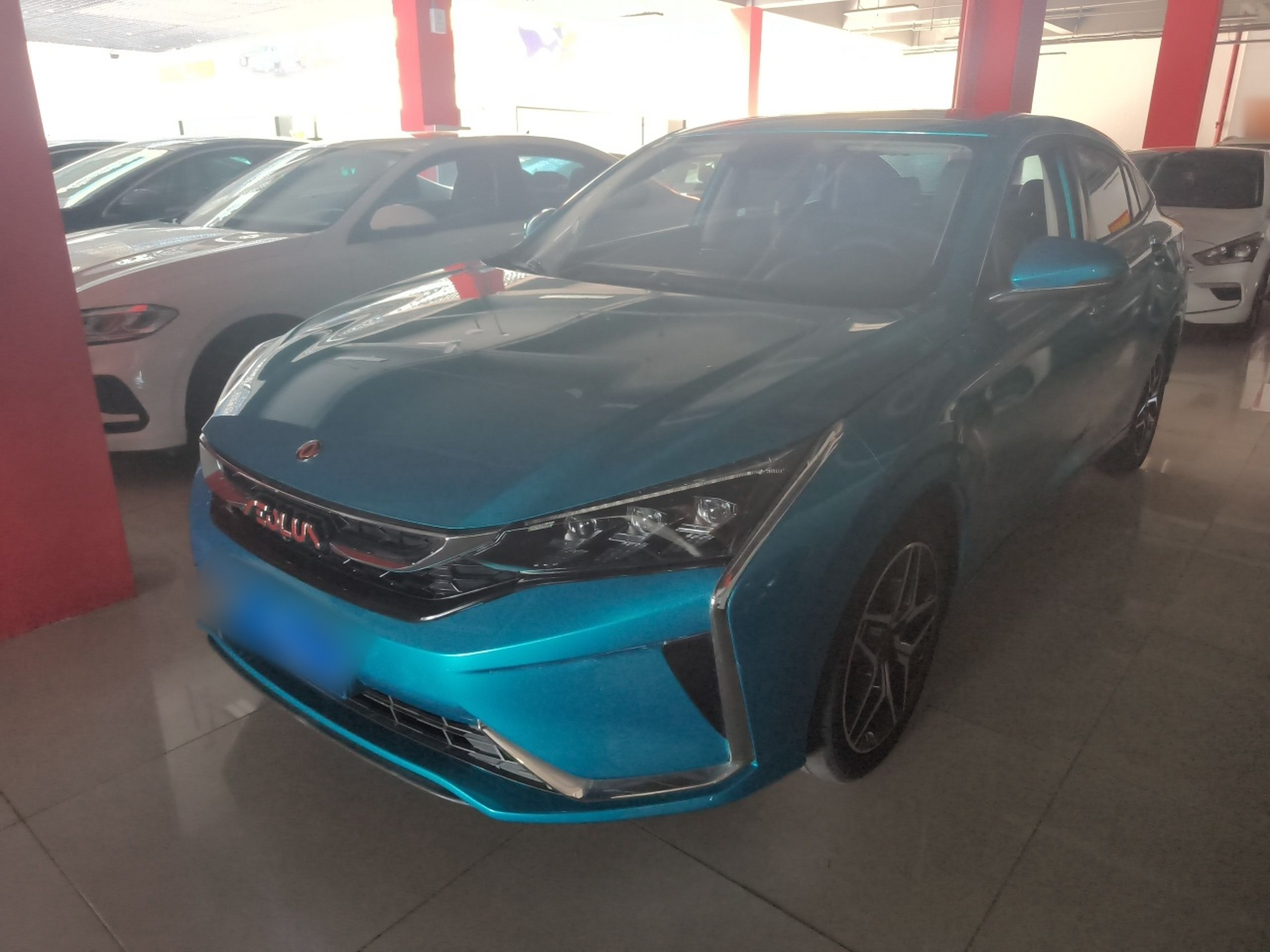 تحت مقدمة السيارة