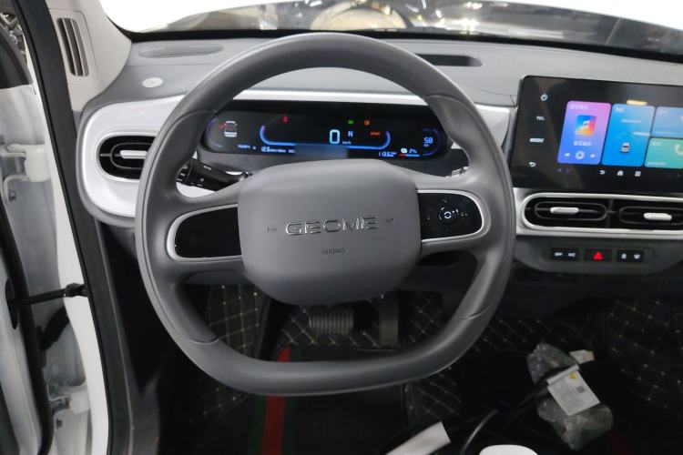 Used  Panda 2025 210 km – Yuanqi Bear
