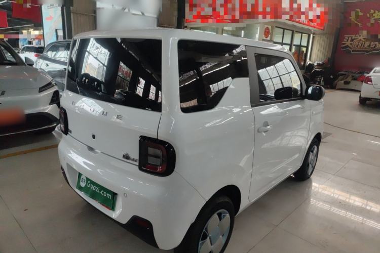 Used  Panda 2024 Panda Mini 200km Endurance Bear
