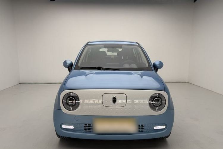 Used ORA Black Cat 2019 351 km Family Edition