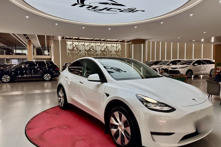 Used Tesla Model Y 2021 Standard Range Rear-Wheel Drive Version