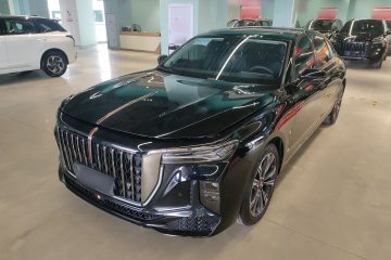 Used Hongqi H9 2024 2.0T Qixiang Private Style Edition