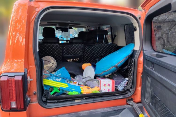 Used Tank 300 2021 Off-Road Edition 2.0T Conqueror