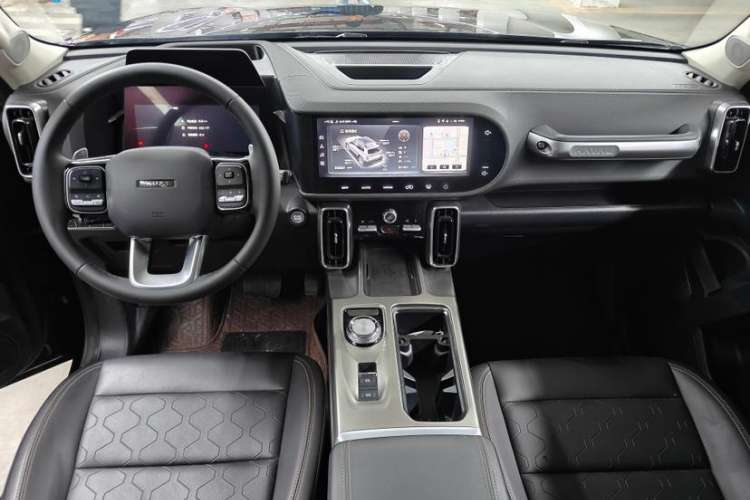 Used Haval DARGO 2024 2.0T DCT Chinese Rural Dog Edition
