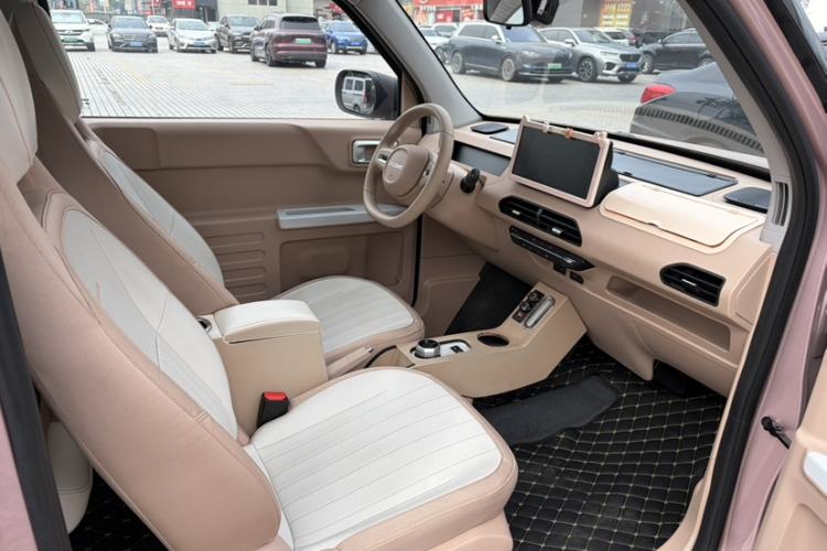 Used  Panda 2023 Panda Mini 200km Endurance Bear
