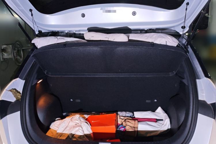 Used BYD Dolphin 2021 405 km Fashion Edition
