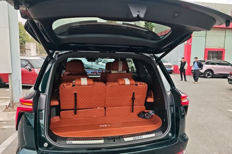 Used Wey Lanshan 2023 Four-Wheel Drive Ultra-Long Range Version
