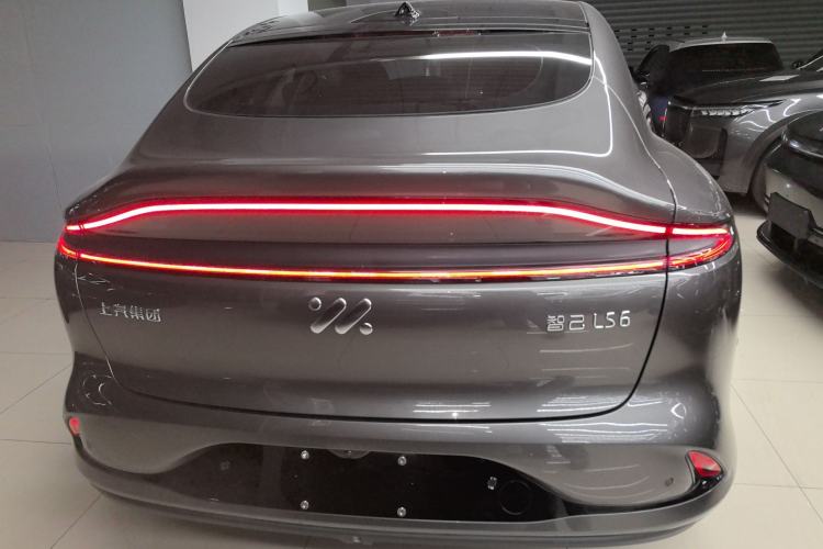 Used  LS6 2023 Max Long-Range Version
