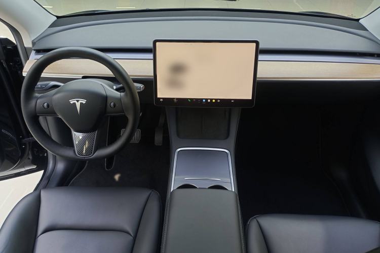 Used Tesla Model Y 2021 Standard Range Rear-Wheel Drive Version
