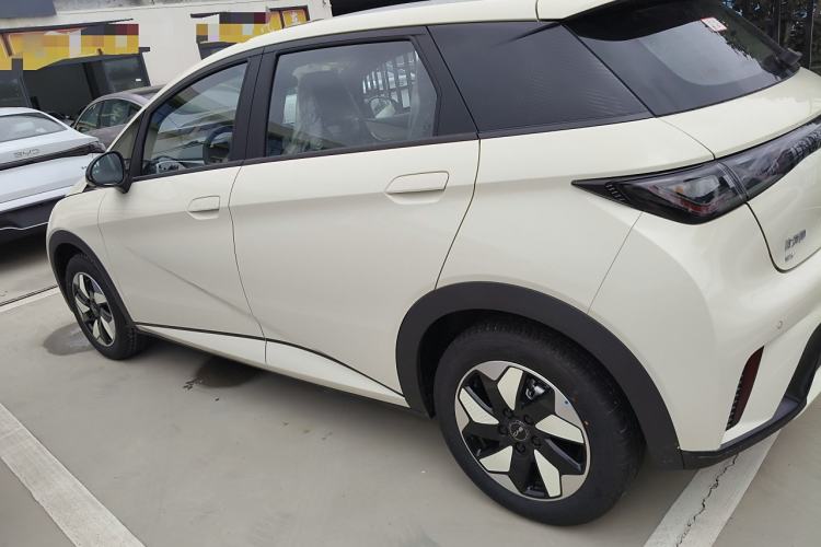 Used BYD Dolphin 2025 420km Free Edition
