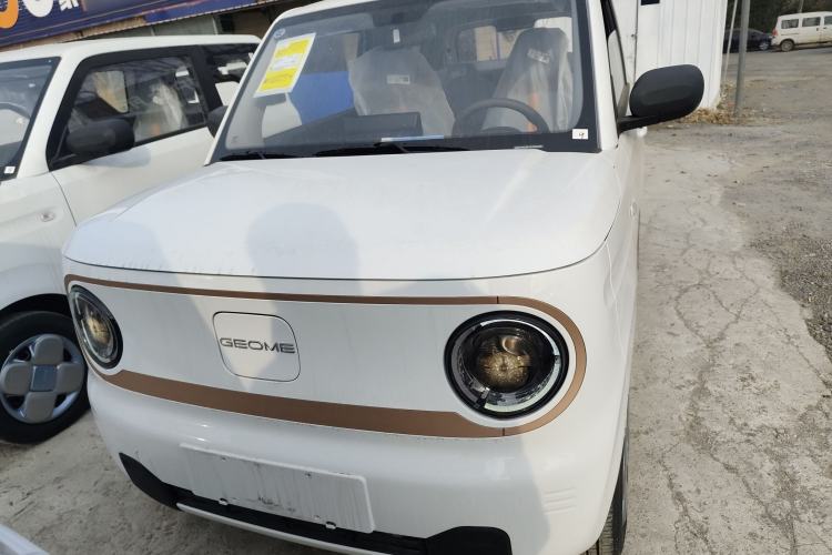 Used  Panda 2024 Panda Mini 200km Endurance Bear
