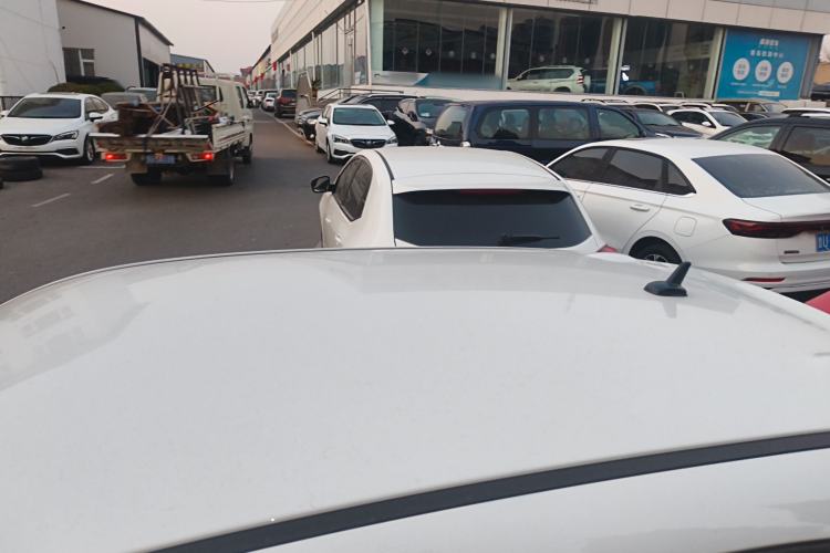 Used ORA Black Cat 2021 351 km Standard Version