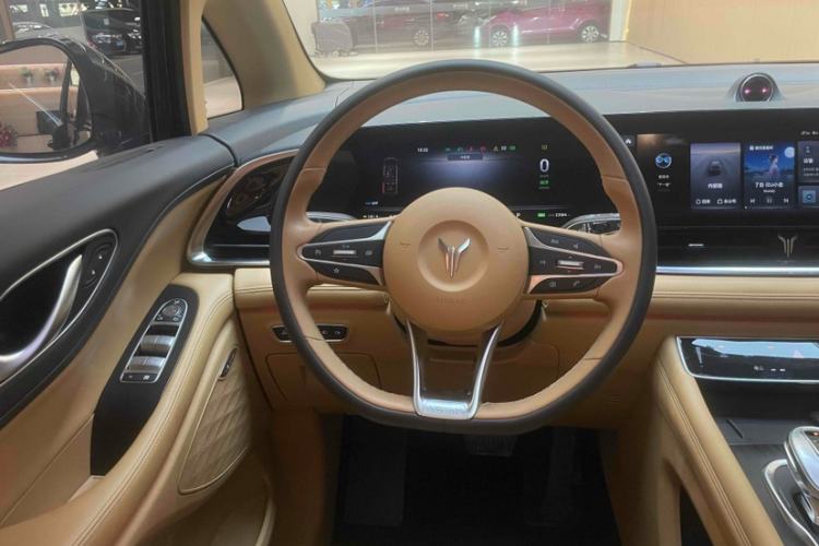 Used VOYAH Dream 2022 Low-Carbon Edition Home
