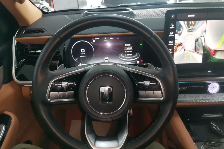 Used Tank 500 New Energy 2023 Hi4-T
