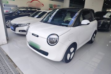 Used Qiyuan Lumin 2025 205 km Xiangqin Version