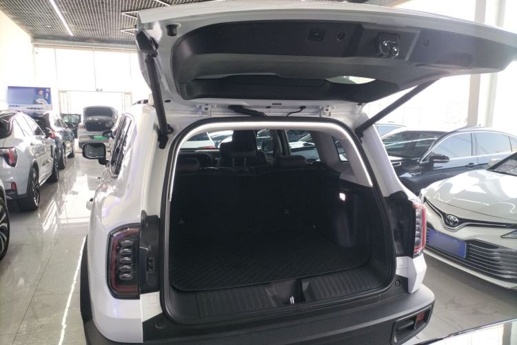 Used Haval DARGO 2024 2.0T DCT Chinese Rural Dog Edition