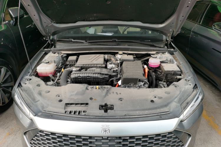 Used BYD Qin PLUS 2024 HONOR Edition DM-i 55KM Leading Model
