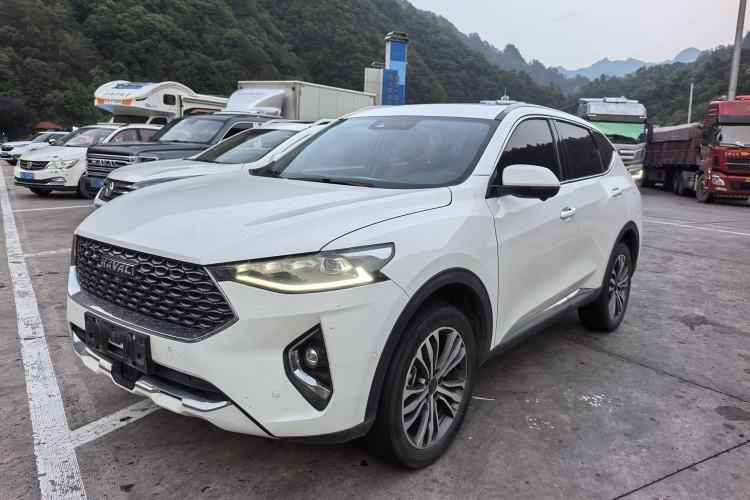 Used Haval F7 2020 2.0T Two-Wheel Drive i-Van
