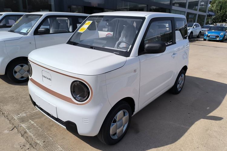 Used  Panda 2024 Panda Mini 200km Endurance Bear
