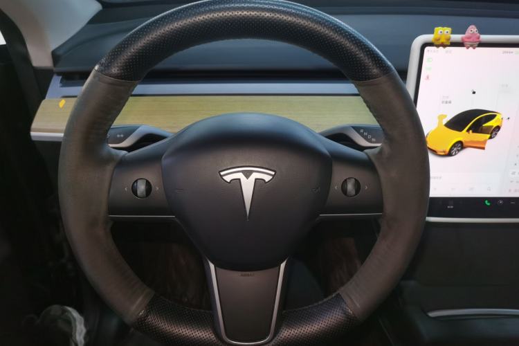 Used Tesla Model Y 2022 Rear-Wheel-Drive Version