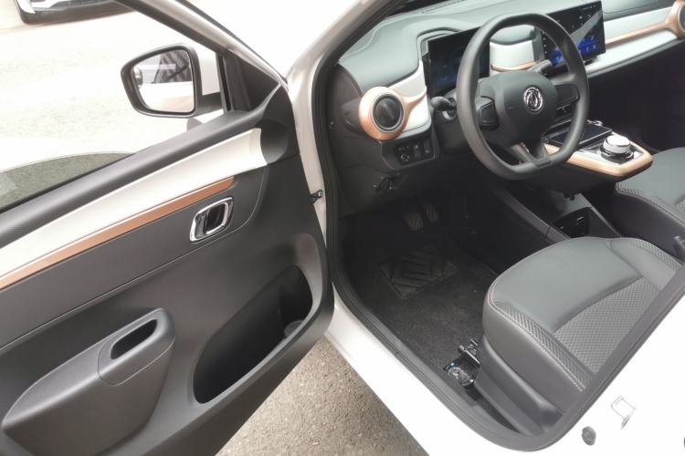 Used Dongfeng NAMMI BOX 2022 Champion Edition Light Wind Version 201KM Standard Model
