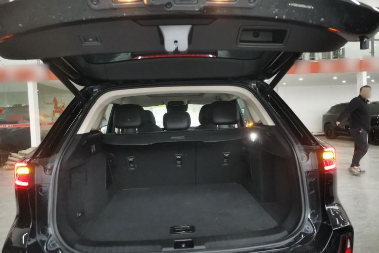 Used  Lingyun 2024 300T Two-Wheel Drive Starlight Edition