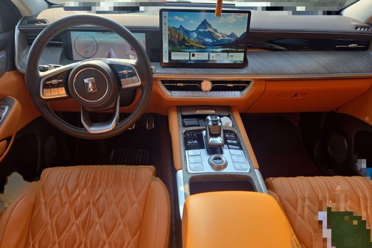 Used Tank 500 New Energy 2023 Hi4-T
