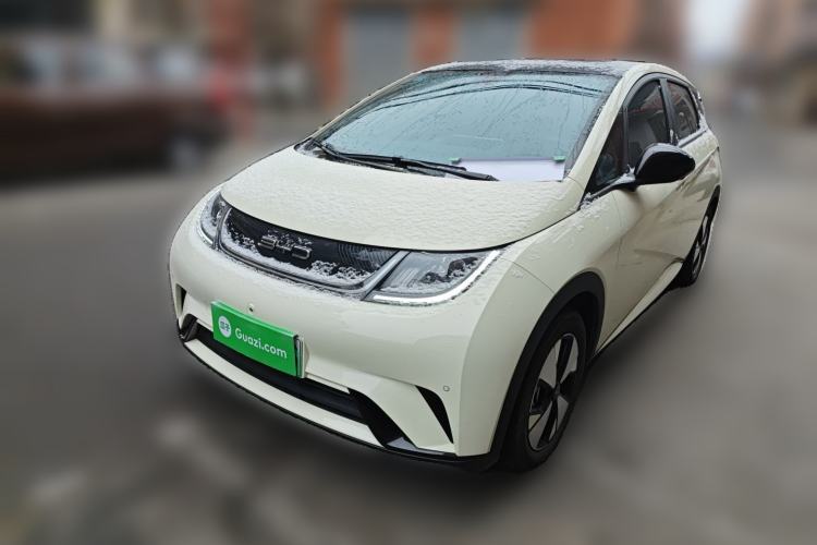 Used BYD Dolphin 2023 420 km Fashion Edition