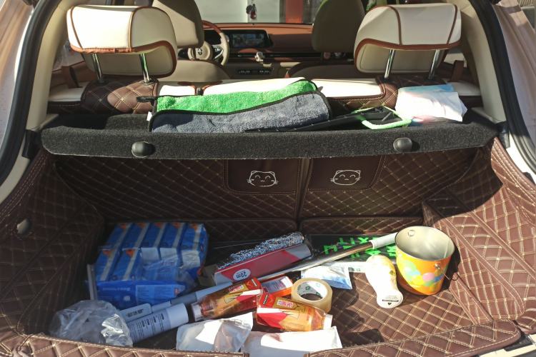 Used ORA Good Cat 2021 400km Standard Range Athena Edition Lithium-Ion Battery
