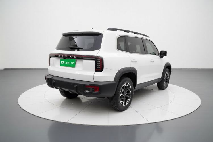 Used Haval DARGO 2024 2.0T DCT Chinese Rural Dog Edition