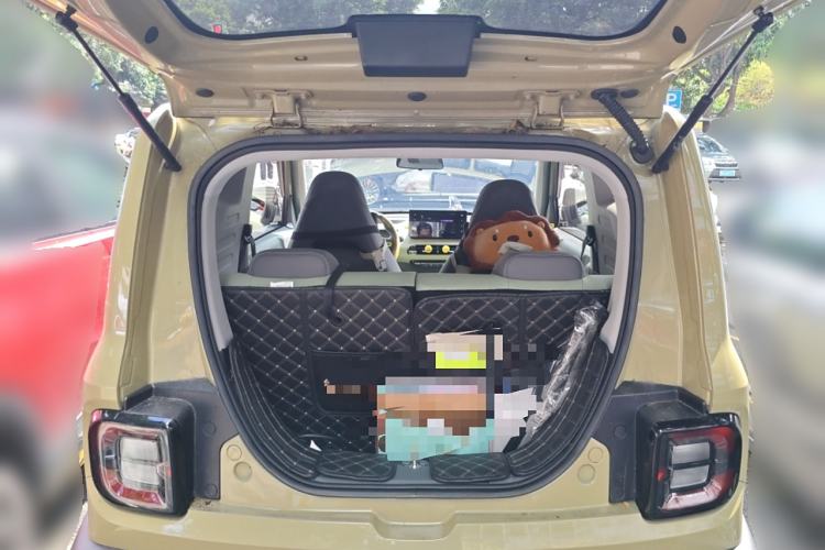 Used  Panda 2024 200km Panda Rider
